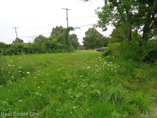 Hamtramck, MI 48212 2529,13281 GABLE Street
