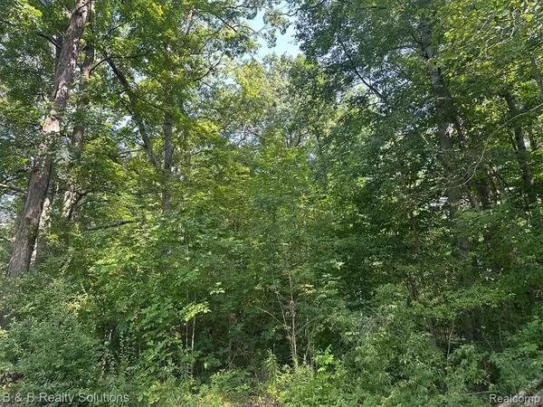 Columbiaville, MI 48421,00 Indian Trail