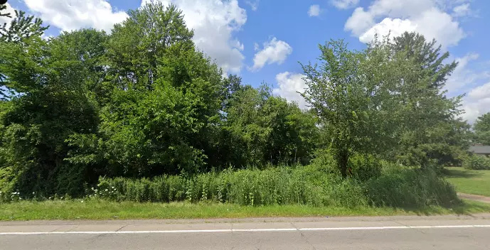 Vacant WAYNE Road, Romulus, MI 48174 1665