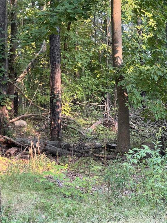South Lyon, MI 48178 9252,29280 N DIXBORO Road
