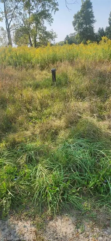 Brown City, MI 48416 8192,2840 WELLMAN LINE Road