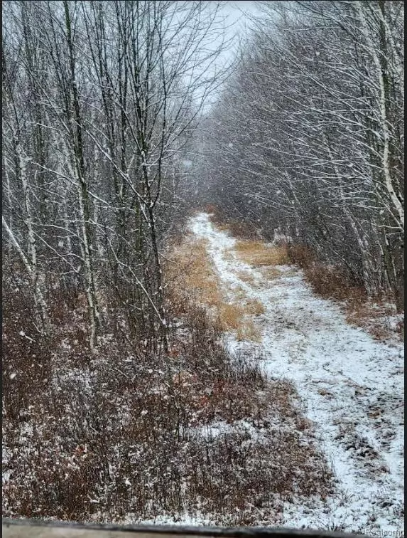 Coleman, MI 48618,9996 N Chippewa Road