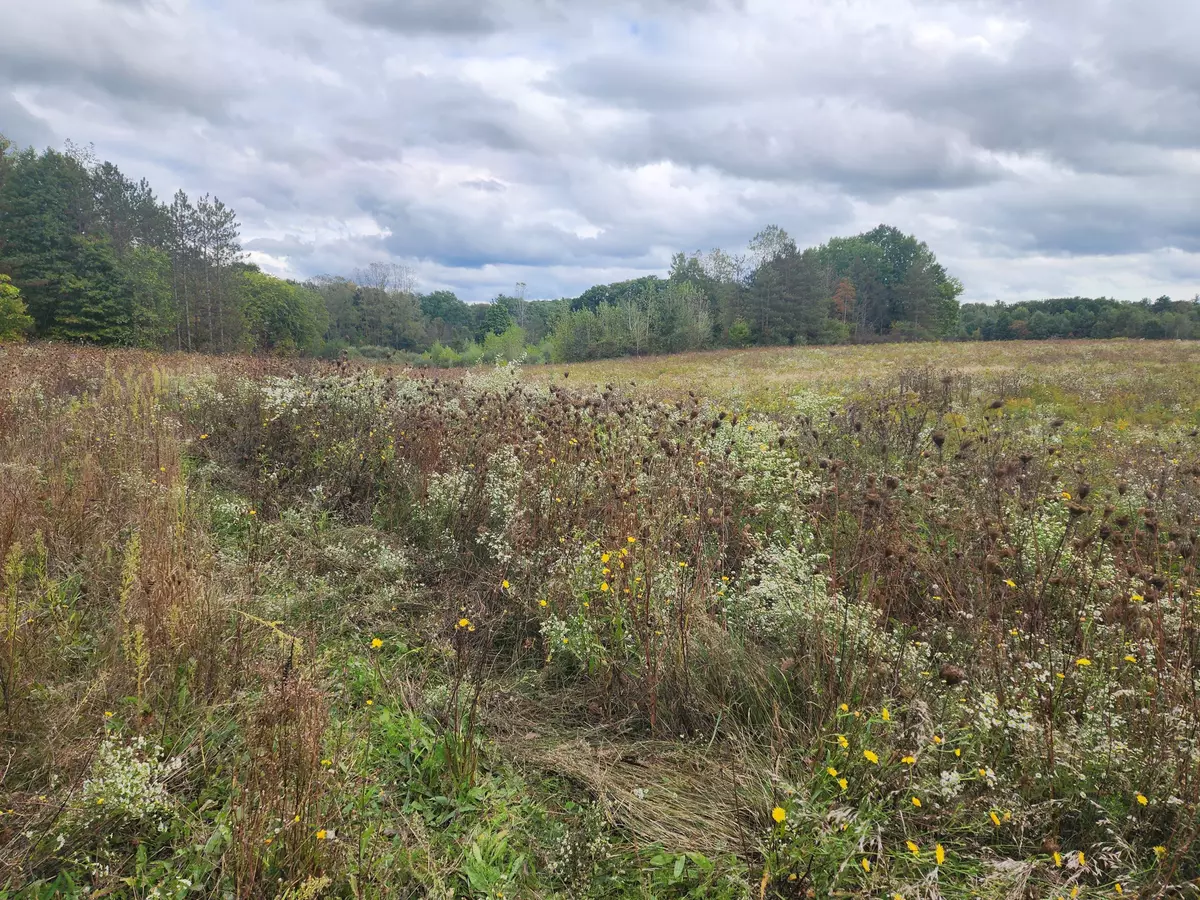 Goodells, MI 48027,Lots B and C LASHBROOK VACANT LAND Road