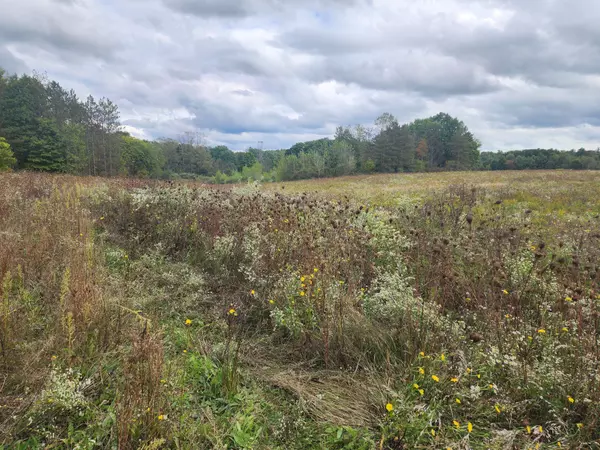 Lots B and C LASHBROOK VACANT LAND Road, Goodells, MI 48027