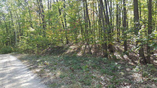 423 Mooncrest Drive, Roscommon, MI 48653