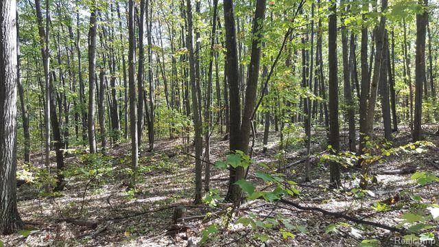 Roscommon, MI 48653,423 Mooncrest Drive