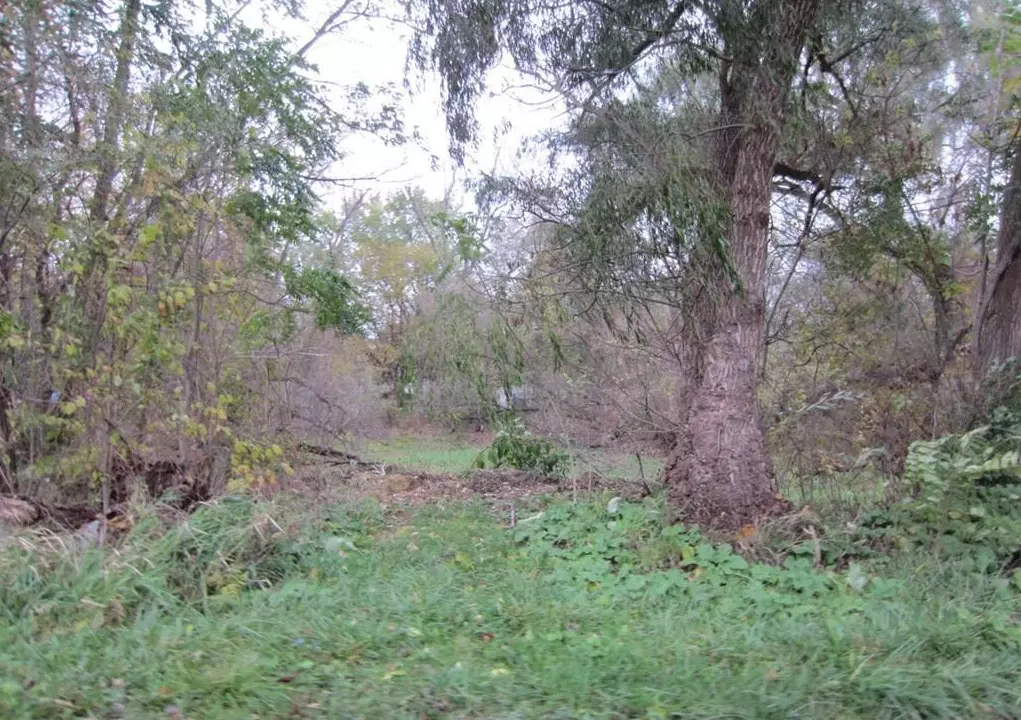 White Lake, MI 48442,VACANT LAND TACKELS