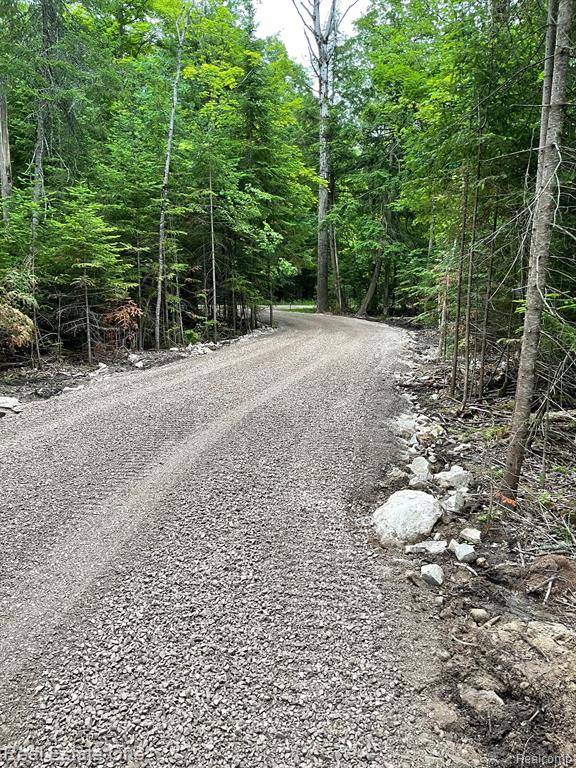 Indian River, MI 49749 9531,2497 BOY SCOUT Road