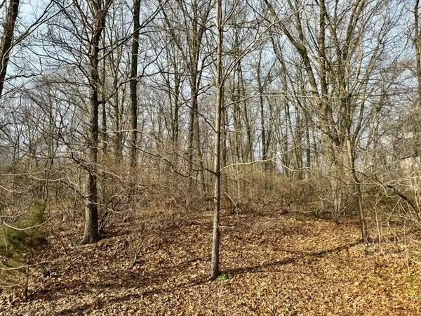 Vacant Land #9 CLIMBING Way, Pinckney, MI 48169 8485