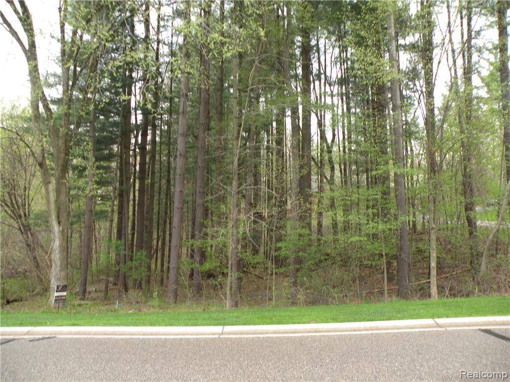 Pinckney, MI 48169,Lot 33 ALTA VISTA Drive