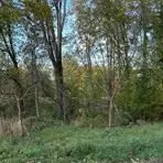 000 Coon Lake Rd, Howell, MI 48843