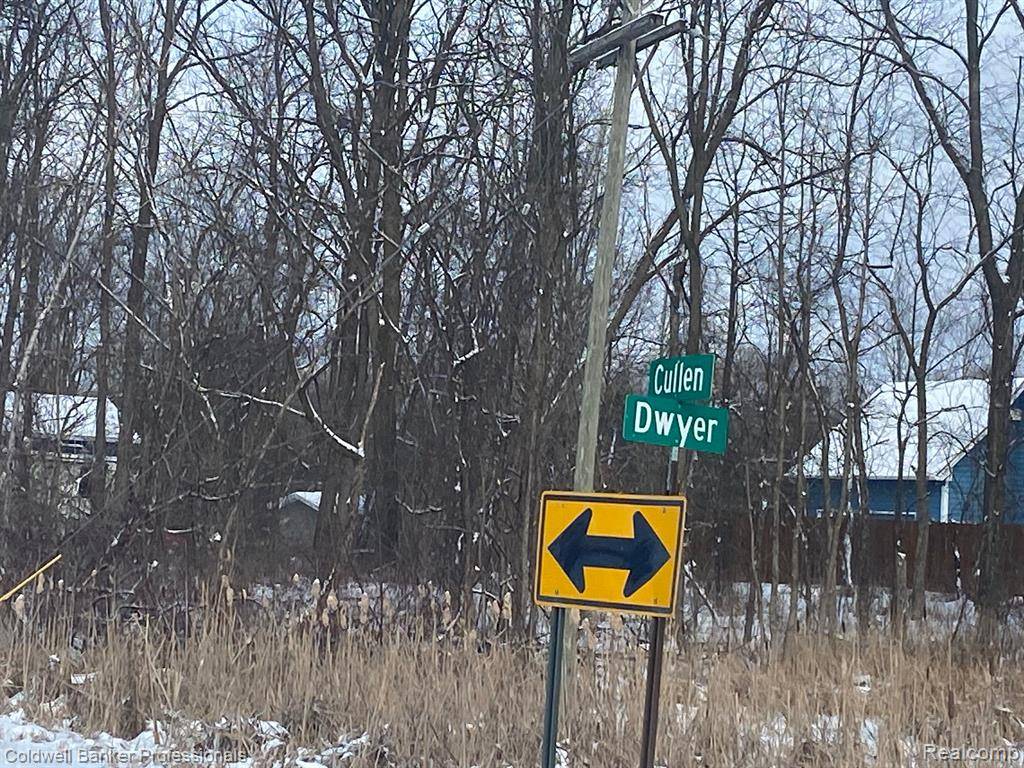 Howell, MI 48855 8048,8899 DWYER Road