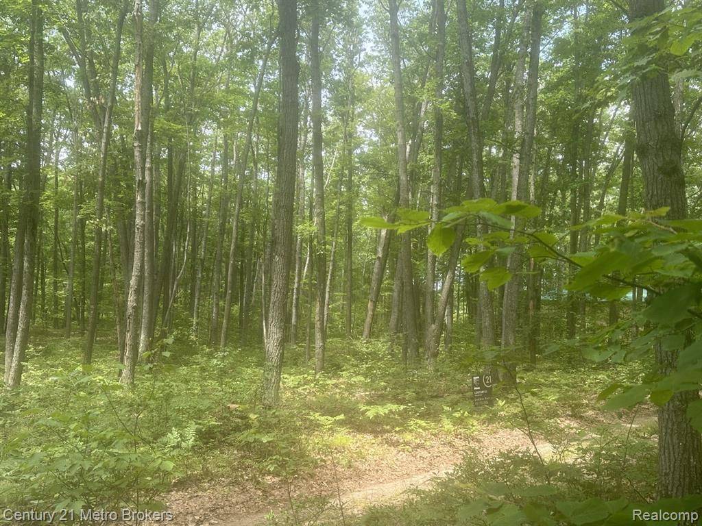 0 Garfield Boulevard, Roscommon, MI 48653 8735