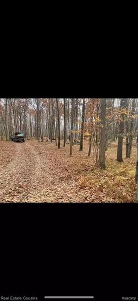 Lot 718 Oak Run, Farwell, MI 48622