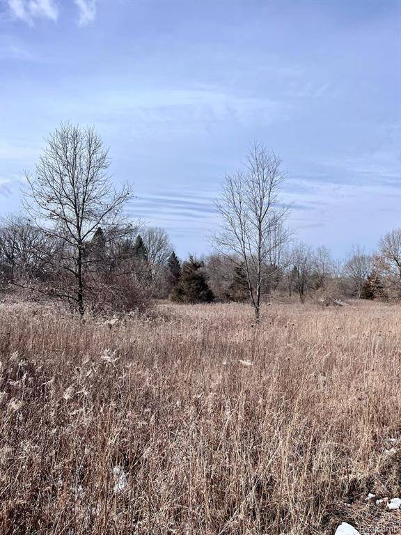 Parcel 1 Coon Lake Rd, Howell, MI 48843