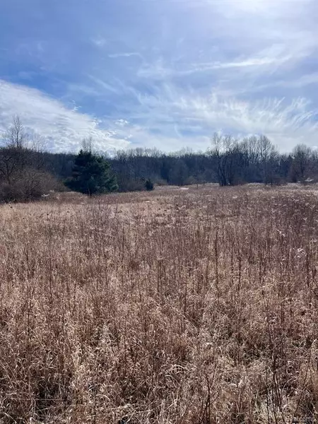 Parcel 2 Coon Lake Rd, Howell, MI 48843