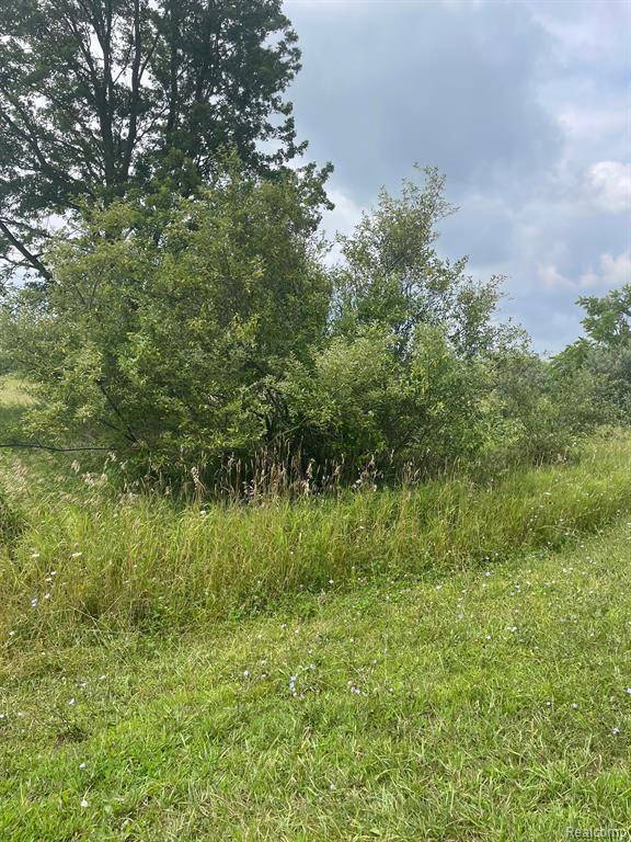 Oxford, MI 48371,0000 BRAUER Road
