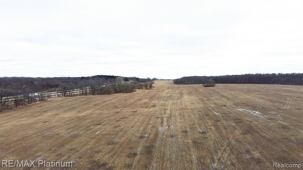 Fenton, MI 48430,V/L OLD US 23 124 ACRES