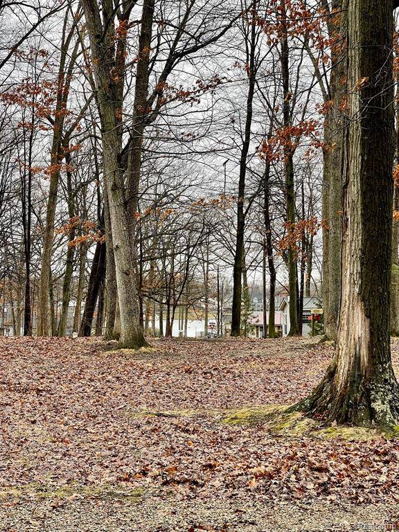 Columbiaville, MI 48421 9733,613 PINE Drive