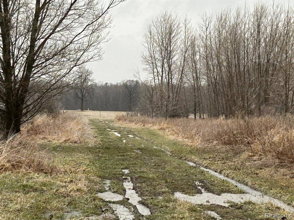 Fostoria, MI 48435,0 W Burnside Road