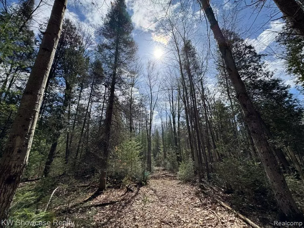 Houghton Lake, MI 48629,4233 Hardacre Trail