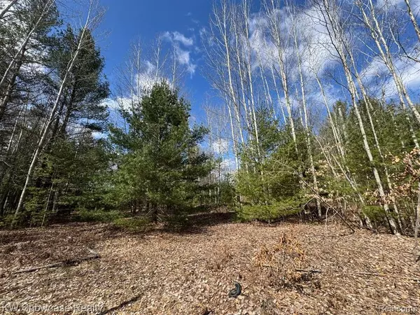 Houghton Lake, MI 48629,4233 Hardacre Trail