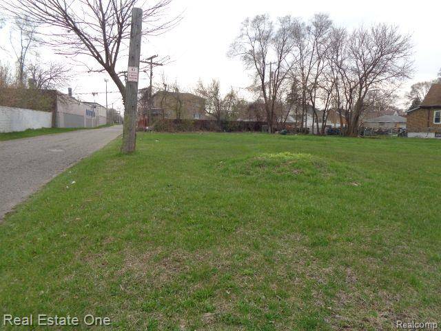 Hamtramck, MI 48212 3114,5678 HAROLD Street