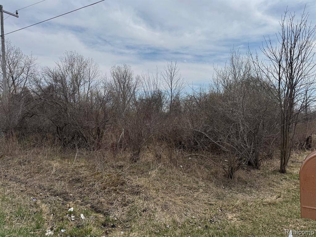 000 Metcalf Road, Clyde, MI 48049