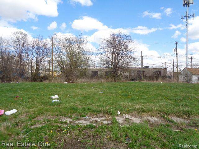 11676 SAINT LOUIS Street, Hamtramck, MI 48212 2551