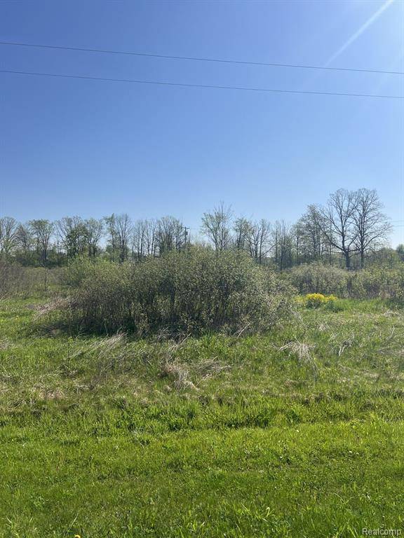 North Branch, MI 48461,VL TURTLE LAKE Road