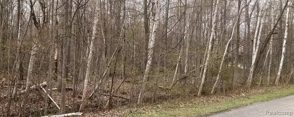 Pinconning, MI 48650 9518,0 BIRCH Drive