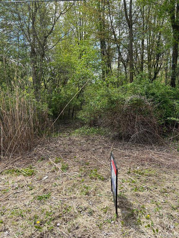 East China, MI 48054,0 BELLE RIVER Road