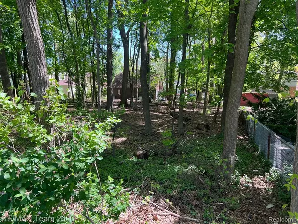 Dearborn, MI 48124 1479,425 S TELEGRAPH Road
