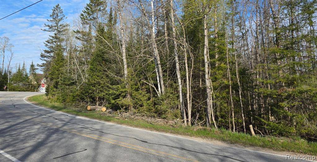 0 S White Road, Cedarville, MI 49719