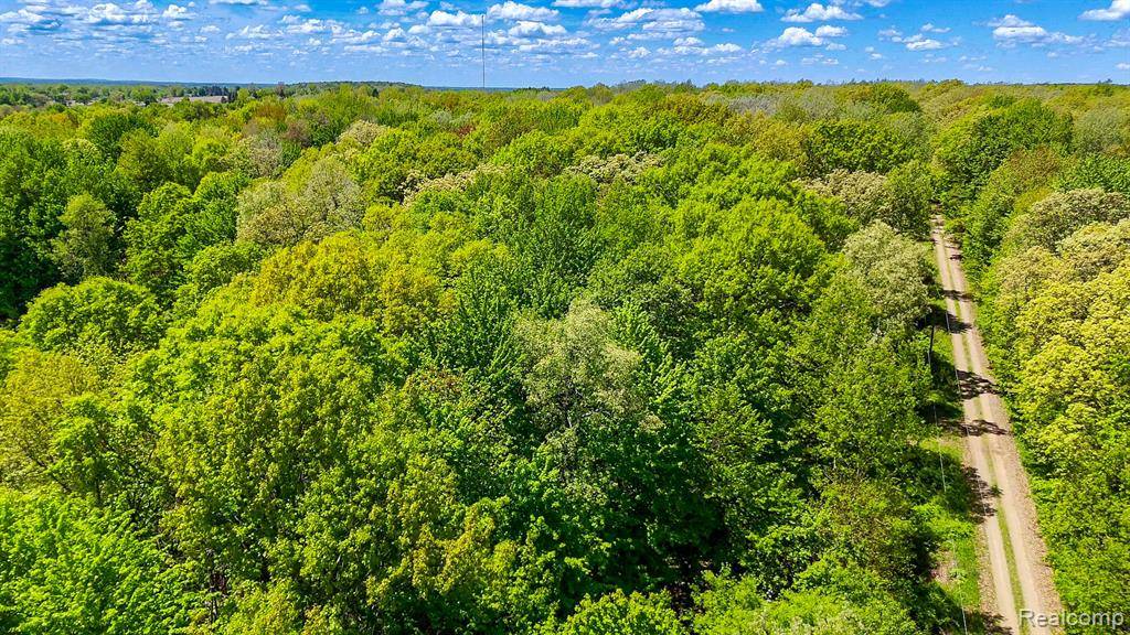 2905 N Lake Pleasant Road, Arcadia, MI 48412 9008