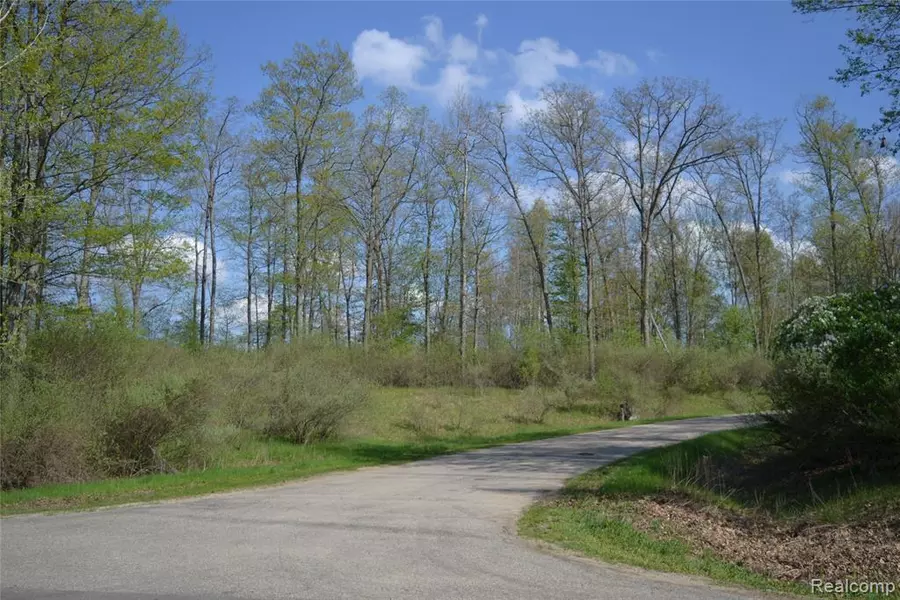 00 Oak Ridge Court, Milford Twp, MI 48756