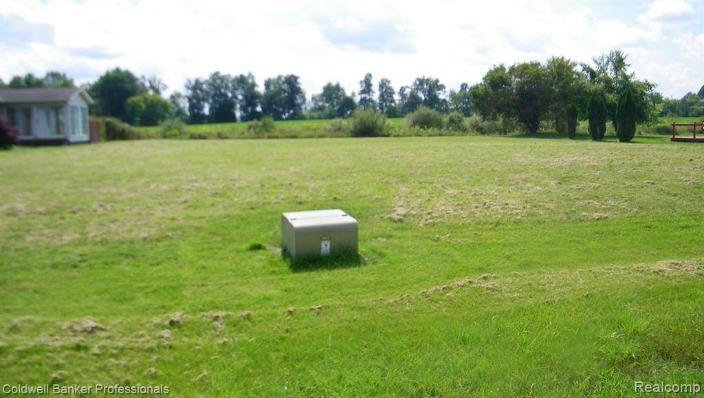 North Branch, MI 48461 8974,4364 COUNTRY Lane