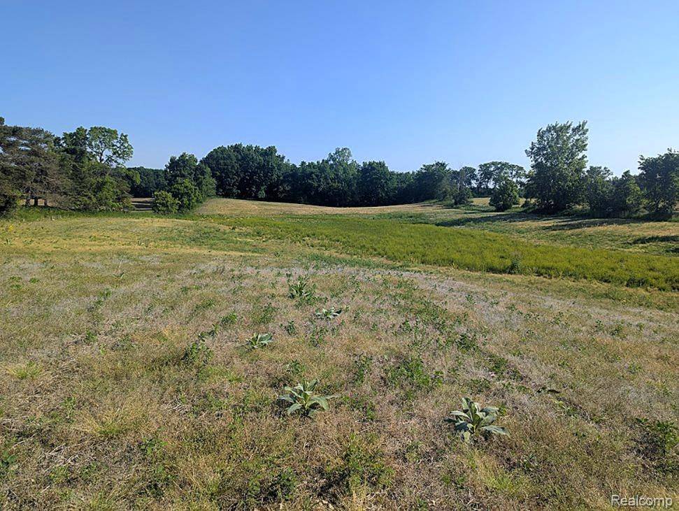 Linden, MI 48451,Parcel A - Rolston Road