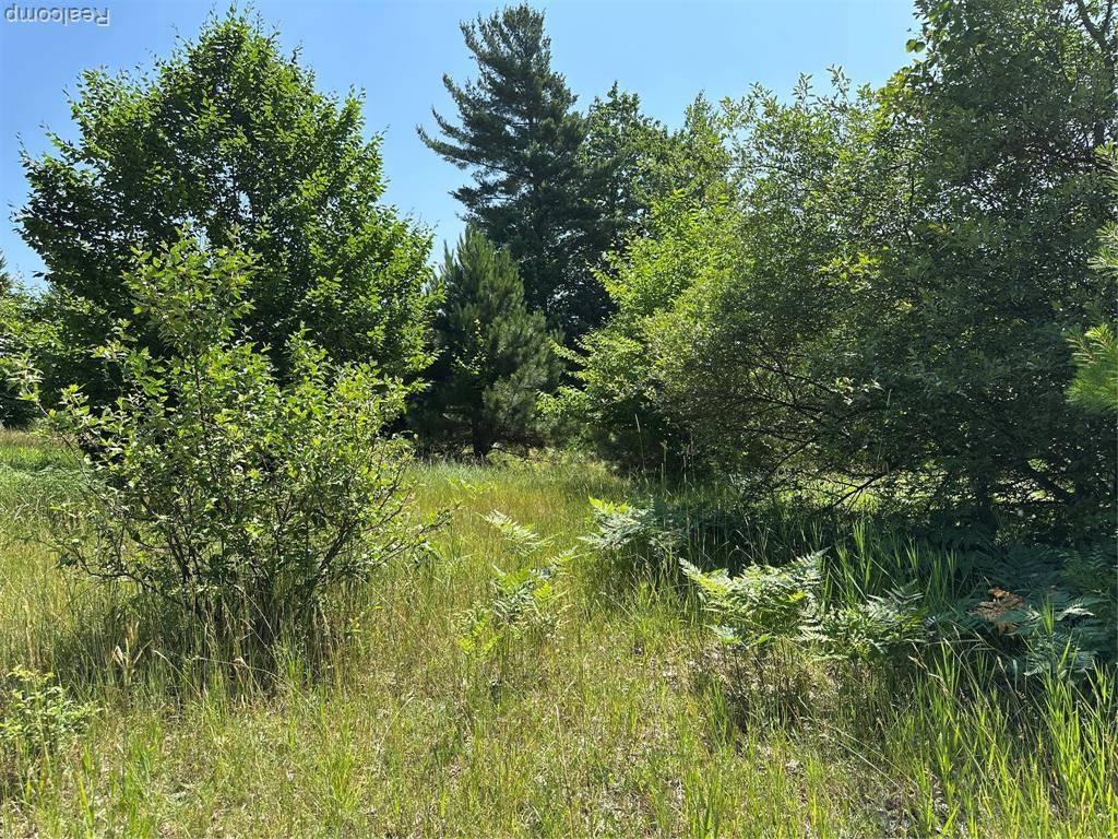Onekama, MI 49675,77 E Starlight Ridge Circle