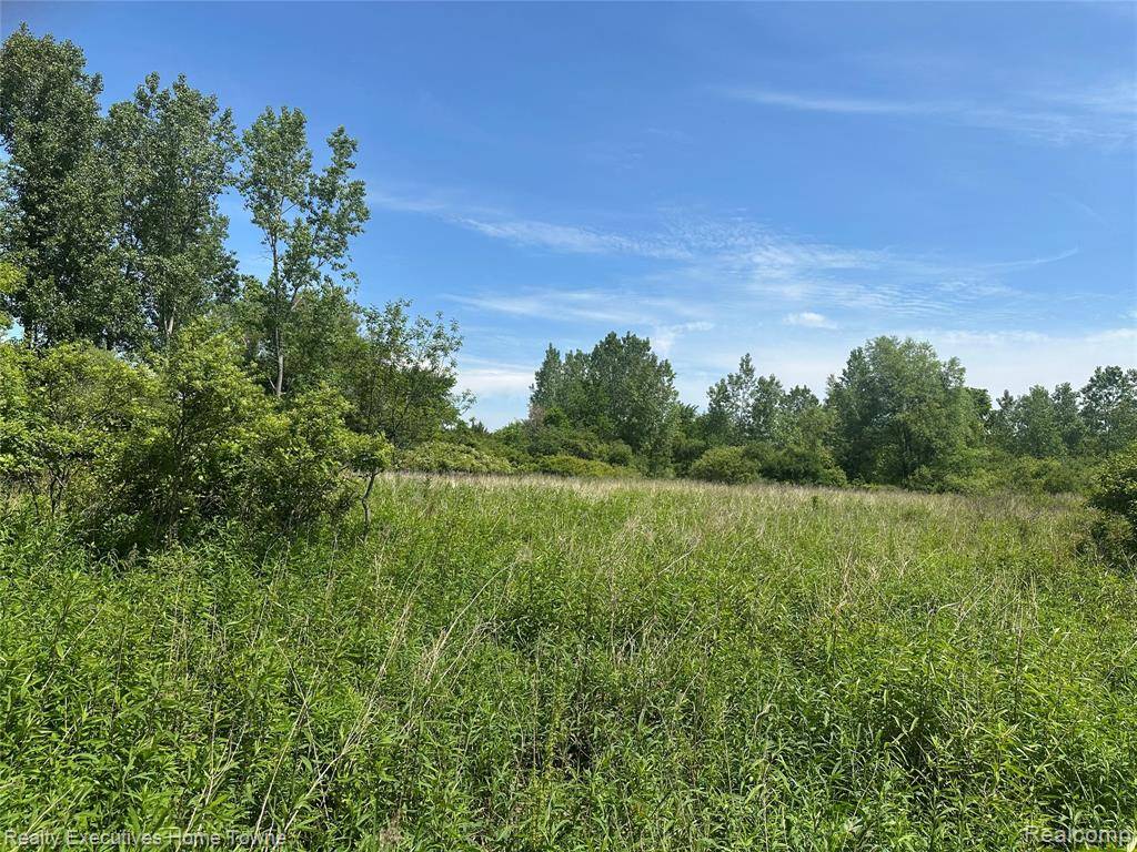 Grant, MI 48032,000 Kilburn