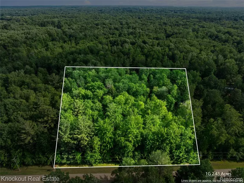 #0015 V/L Birch Lane, Vassar, MI 48768