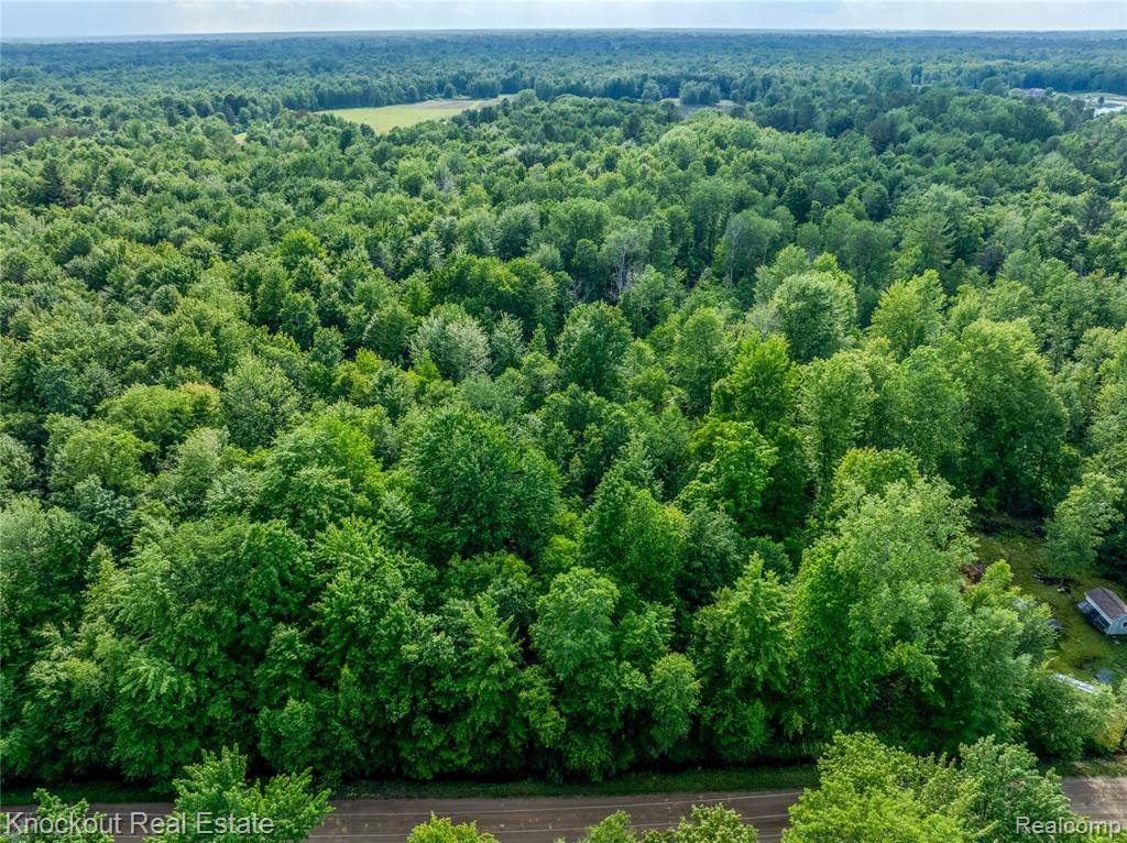 #0047 V/L Maplegrove Lane, Vassar, MI 48768