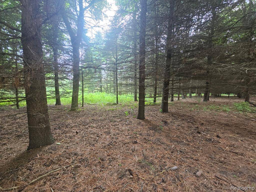 Lapeer, MI 48446,VL Millville Road