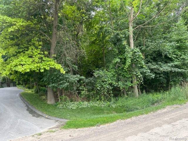 00 Mitchell Mitchell Road, Metamora, MI 48455 9611