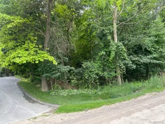 00 Mitchell Road, Metamora, MI 48455 9611