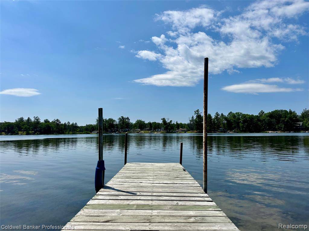 South Branch, MI 48761 9601,7351 Chain Lake Drive