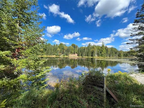 4178 E North Rose Circle, Lupton, MI 48635