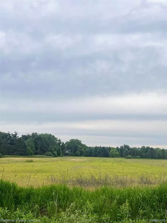 Allenton, MI 48002,PARCEL G BURT Road