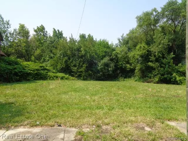 2534 W Forest Avenue, Detroit, MI 48208 2116