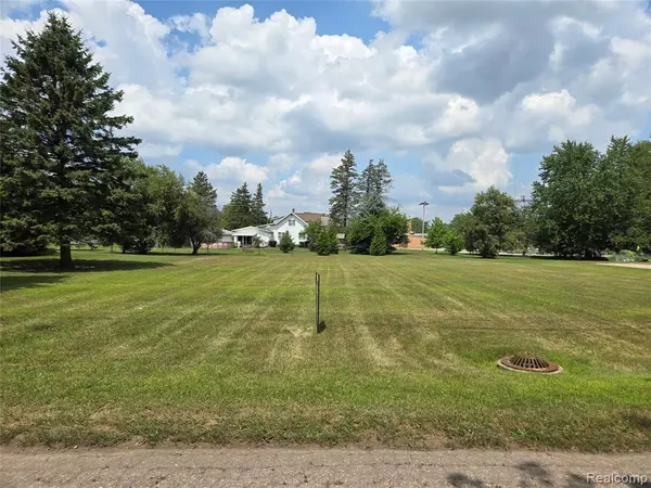Chesaning, MI 48616,V/L W Liberty Street